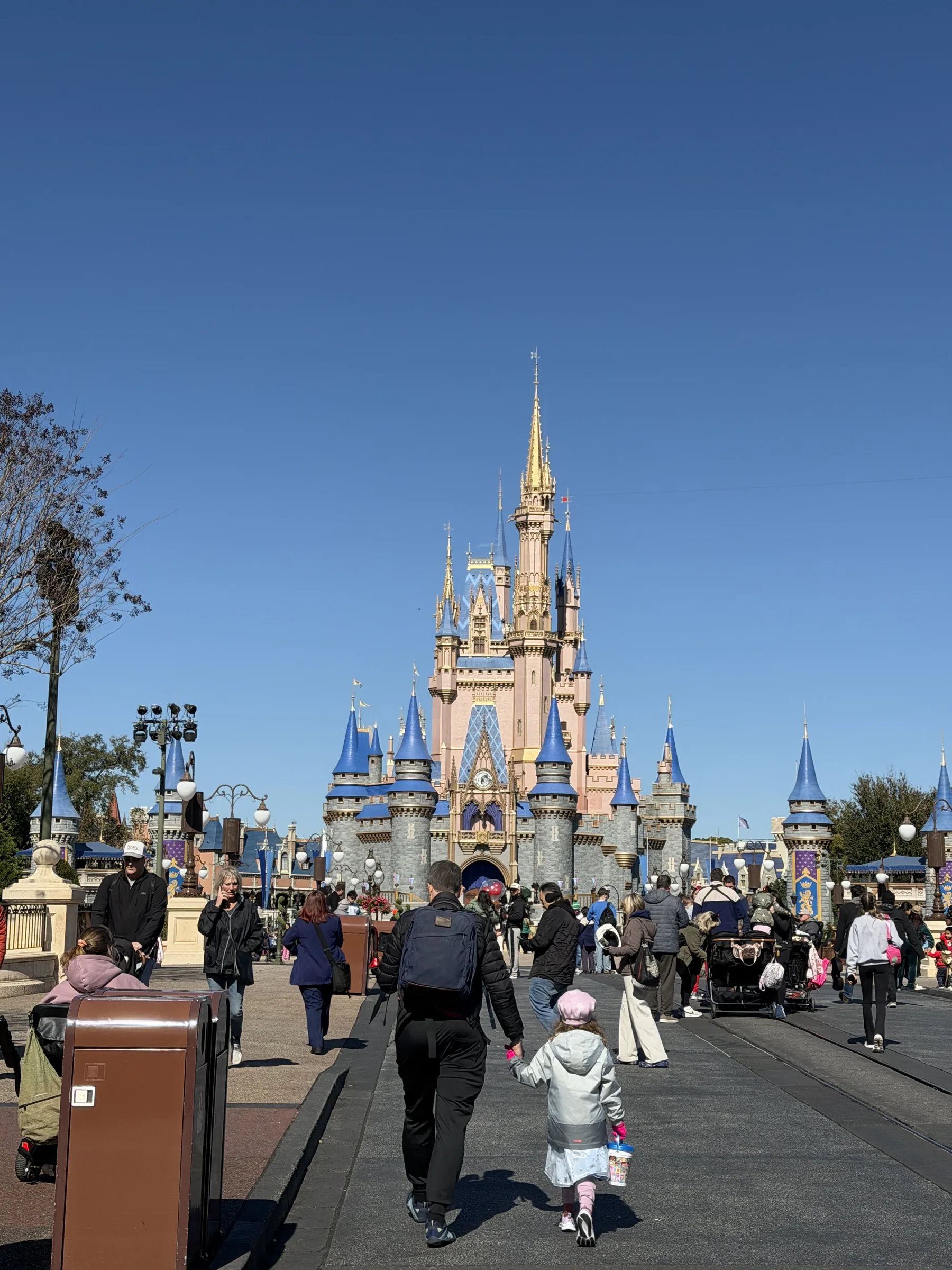 Guia Virtual Disney — no parque